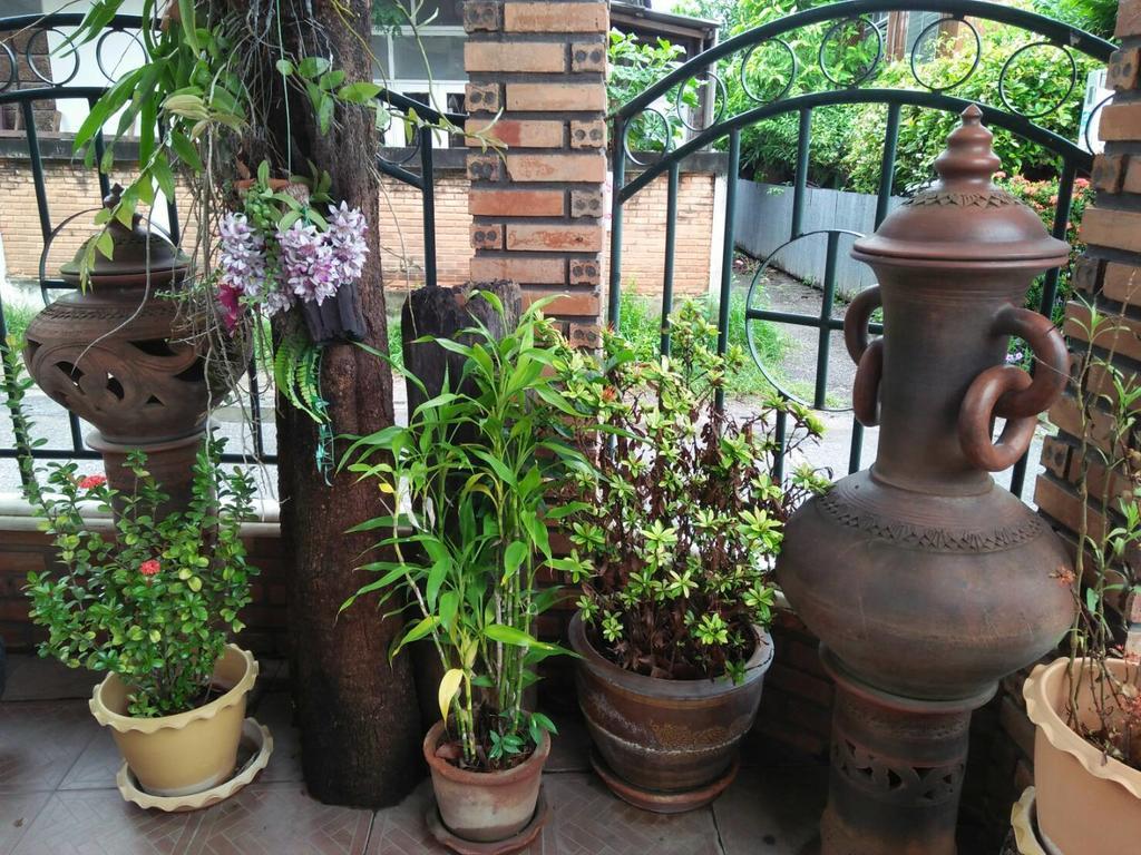 Villa Oranje Chiang Mai Extérieur photo